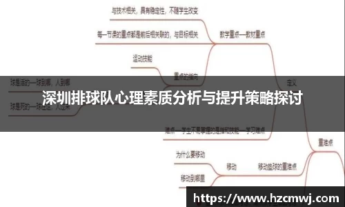 深圳排球队心理素质分析与提升策略探讨